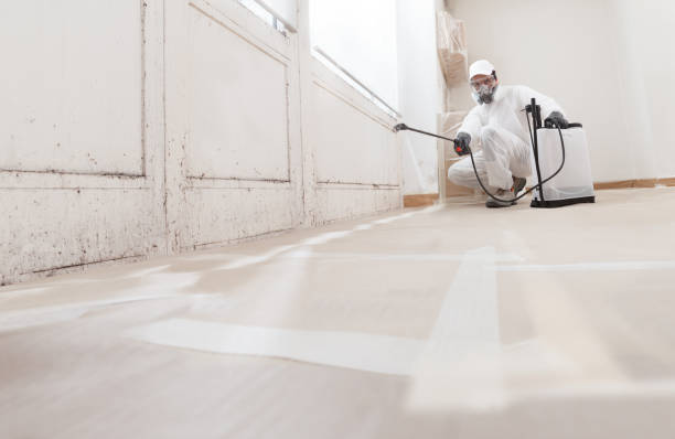 24/7 Emergency Black Mold Remediation experts in West Islip, NY